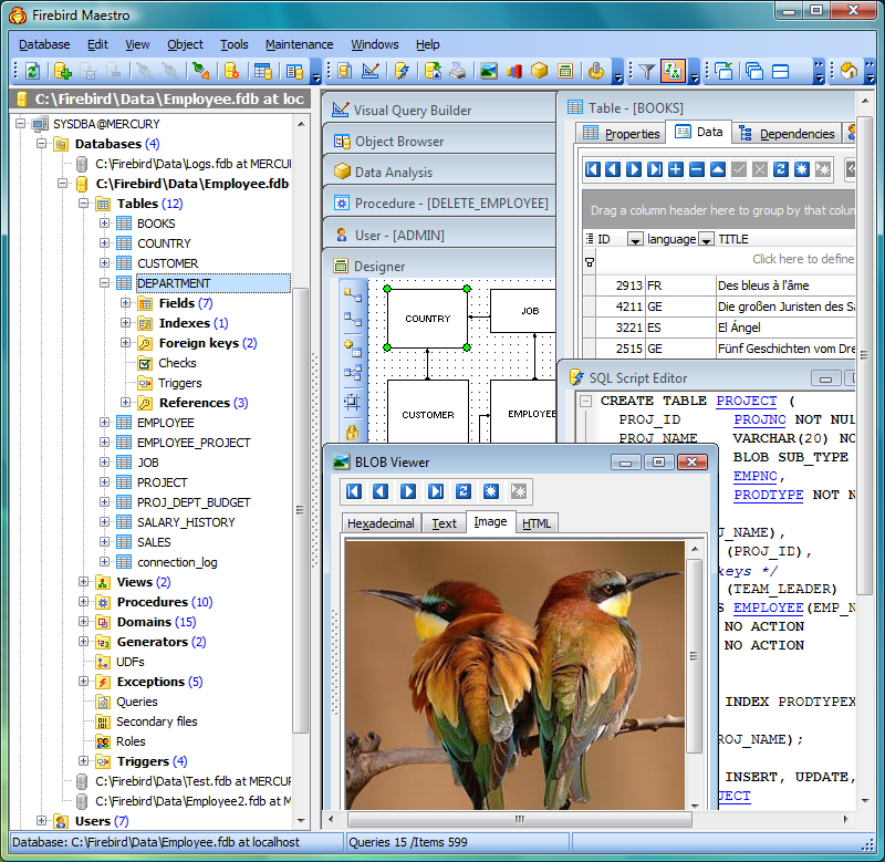 Firebird GUI Tools - Firebird database management software by SQL ...