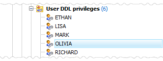 User DDL privileges list